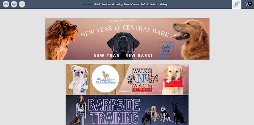 Central Bark Doggy Daycare And Grooming Spaw