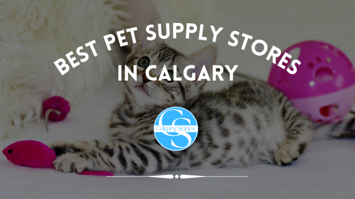 The 6 Best Pet Supply Stores In Calgary 2023