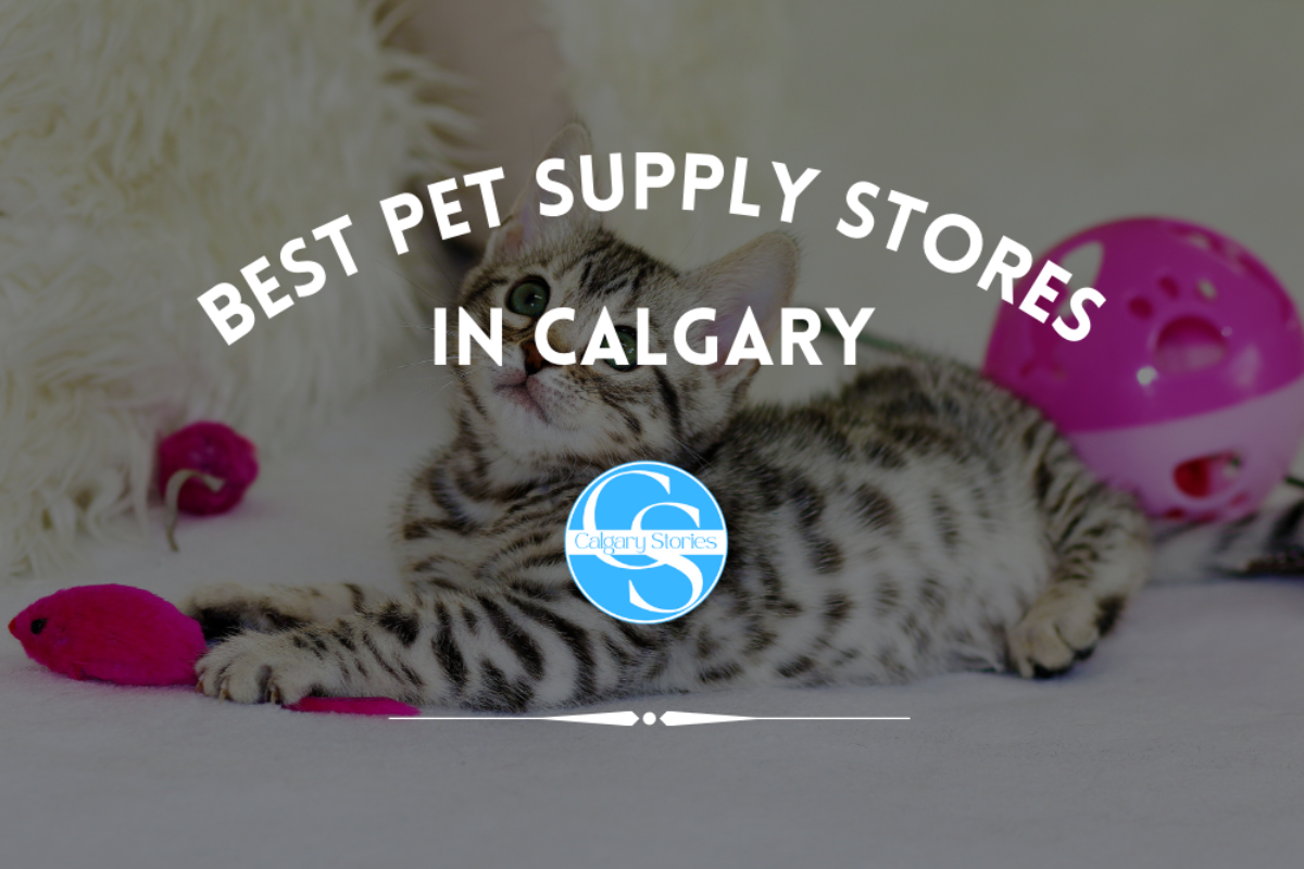 The 6 Best Pet Supply Stores In Calgary 2023