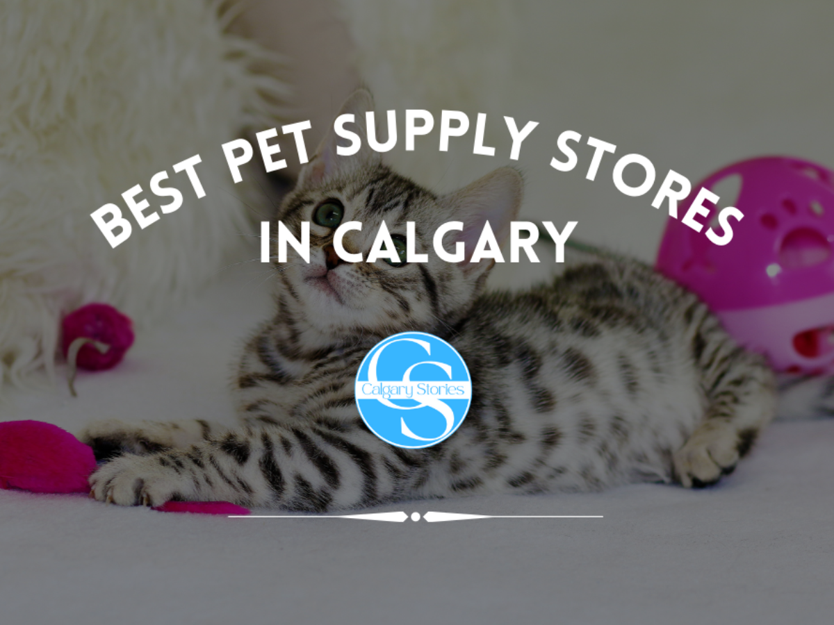 The 6 Best Pet Supply Stores In Calgary 2023