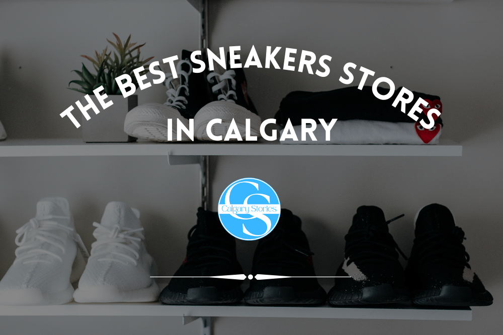 Sneakers Stores 